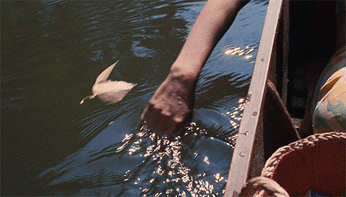 A cover of "movement/change" cluster. The owner is eirenelara. The cluster consists of 4 elements.