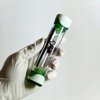 A cover of "TômTex" cluster. The owner is thuanphung. The cluster consists of 18 elements.