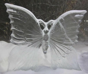 A cover of "Life Moodboard" cluster. The owner is emiralda. The cluster consists of 310 elements.