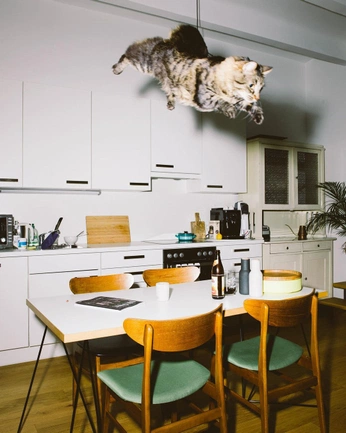 A cover of "home deco" cluster. The owner is shaomin. The cluster consists of 2 elements.