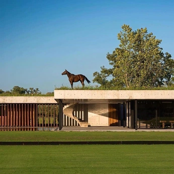 A cover of "Architecture" cluster. The owner is shannon. The cluster consists of 83 elements.