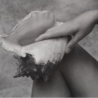 A cover of "Woman & The Conchshell" cluster. The owner is nilsmourato. The cluster consists of 18 elements.