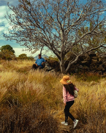 A cover of "Mexico" cluster. The owner is irivision. The cluster consists of 3 elements.