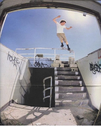 A cover of "ELEMENT" cluster. The owner is queraltciurana. The cluster consists of 12 elements.