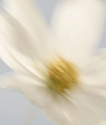 A cover of "Movement" cluster. The owner is jameskirkup. The cluster consists of 5 elements.