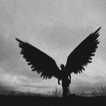 A cover of "Zed" cluster. The owner is remy.bourcois. The cluster consists of 113 elements.