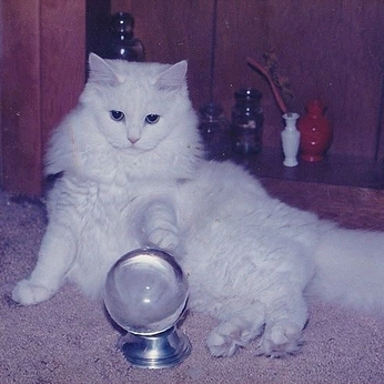 A cover of "Reflections" cluster. The owner is stavroula. The cluster consists of 33 elements.