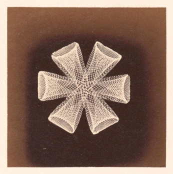 A cover of "works" cluster. The owner is figuremasci. The cluster consists of 2 elements.