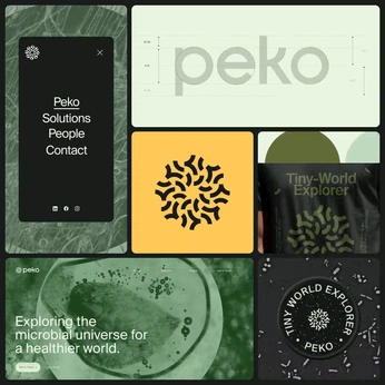 A cover of "Identity" cluster. The owner is camillaloland. The cluster consists of 6 elements.