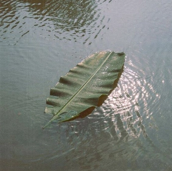 A cover of "Evoking" cluster. The owner is mathilde. The cluster consists of 244 elements.