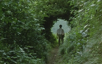 A cover of "forest prince painting" cluster. The owner is vanda. The cluster consists of 25 elements.