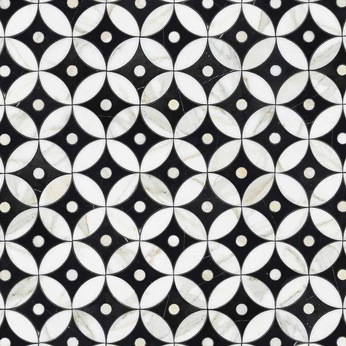 A cover of "Aurora Collection" cluster. The owner is newravenna. The cluster consists of 20 elements.