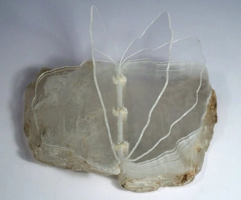 A cover of "🌱" cluster. The owner is selenevisions. The cluster consists of 2 elements.