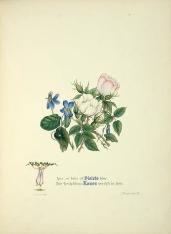 A cover of "my brand - free images" cluster. The owner is sugarandfat. The cluster consists of 21 elements.