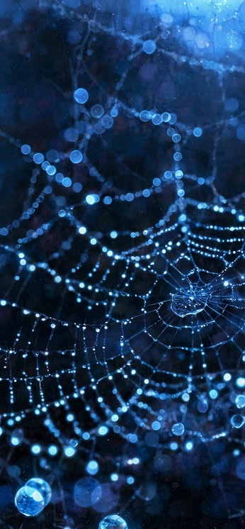 A cover of "Halloween" cluster. The owner is bilalsh. The cluster consists of 2 elements.