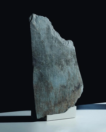 A cover of "X25" cluster. The owner is vero.delcastillo. The cluster consists of 49 elements.