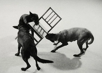 A cover of "mv 3" cluster. The owner is maadhaus. The cluster consists of 24 elements.