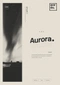Cover of Aurora cluster