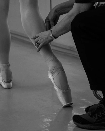 A cover of "Ballet" cluster. The owner is elisabethvinca. The cluster consists of 64 elements.