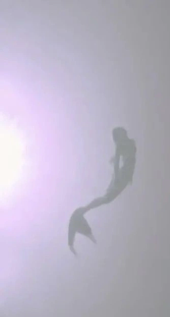 A cover of "siren" cluster. The owner is mindoftaz. The cluster consists of 1 element.