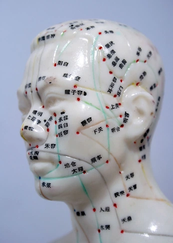 A cover of "Chinese references" cluster. The owner is brendaporf. The cluster consists of 15 elements.