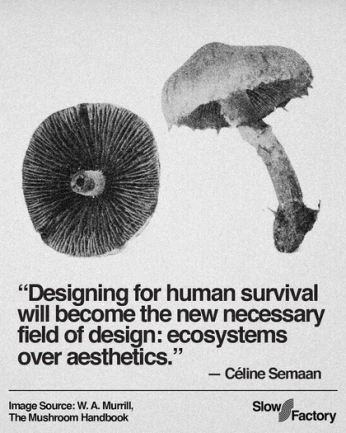 A cover of "inspo diseño" cluster. The owner is alina.mayaa. The cluster consists of 534 elements.