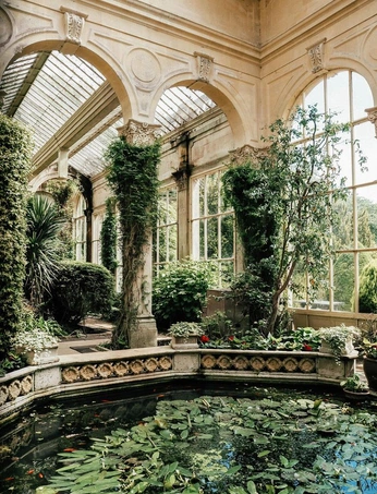 A cover of "bringing the outside in" cluster. The owner is rosaveldkamp. The cluster consists of 8 elements.