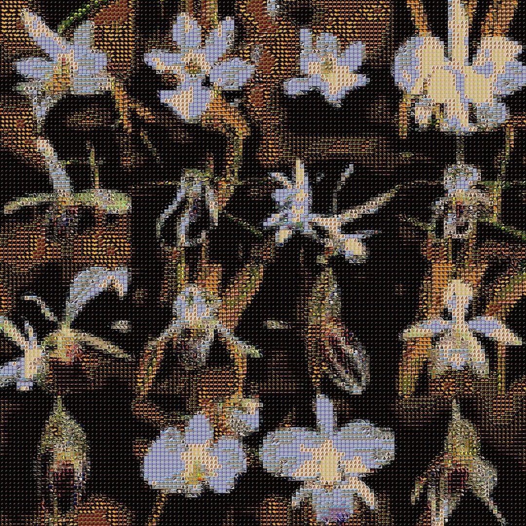 An Instagram carousel post added by backpainbaby on Sep 10, 2023. The author is @sofiacrespo.