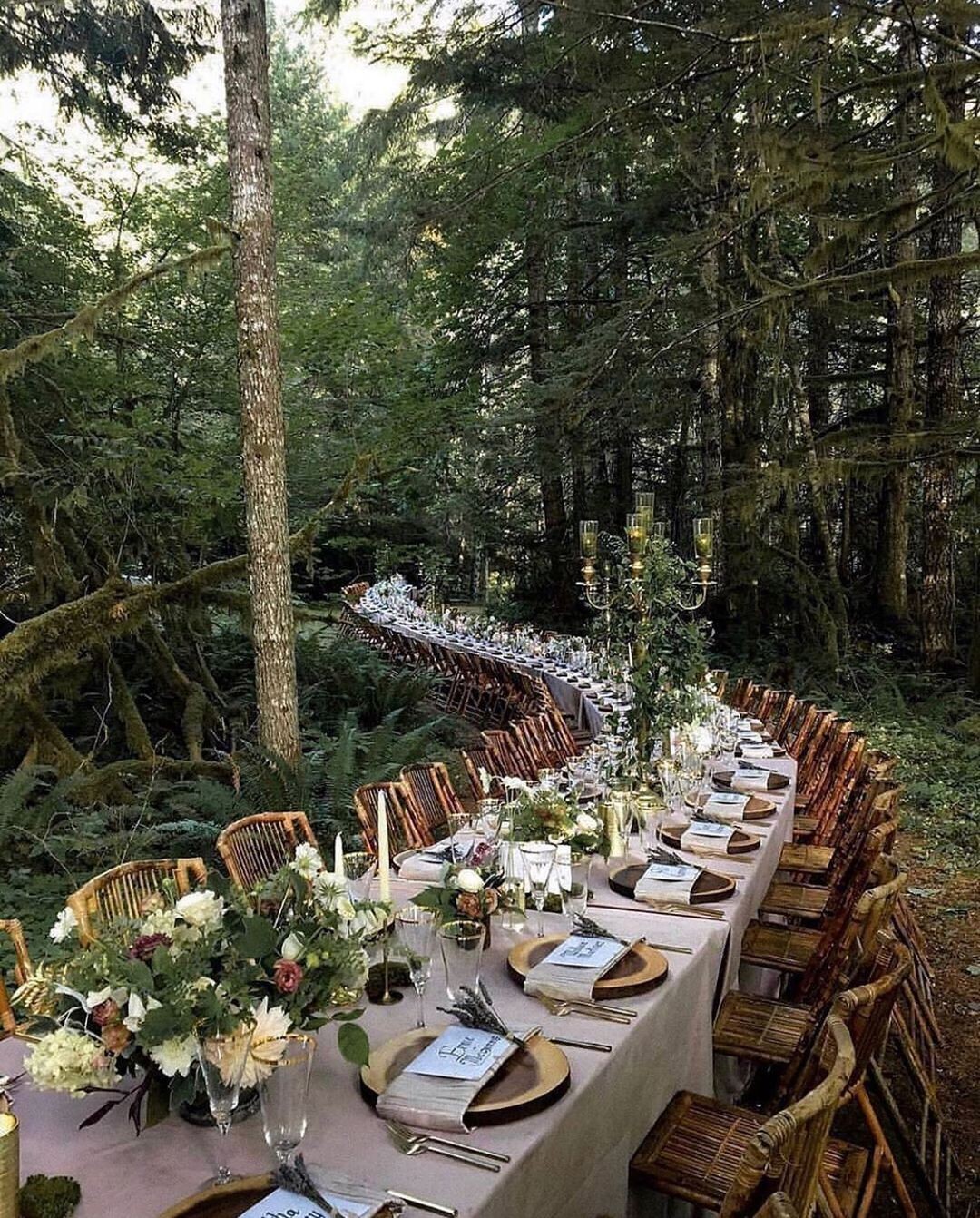 Wedding Inspo