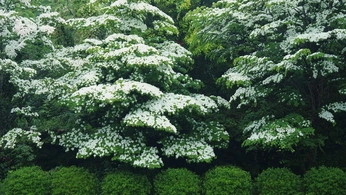 A cover of "Human x nature" cluster. The owner is madelineharris. The cluster consists of 52 elements.