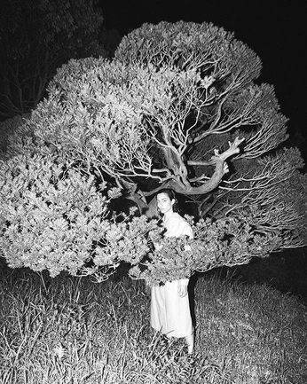 A cover of "PHOTO" cluster. The owner is po.line. The cluster consists of 9 elements.