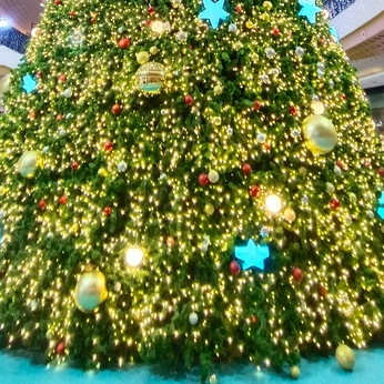 A cover of "Christmas" cluster. The owner is skullsofinsanity. The cluster consists of 20 elements.