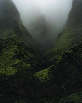 A cover of "Landscape" cluster. The owner is lilyjones. The cluster consists of 5 elements.