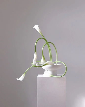 A cover of "m" cluster. The owner is haoi.tu. The cluster consists of 26 elements.