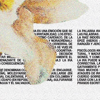 A cover of "Diseño" cluster. The owner is punzoc0rtante. The cluster consists of 21 elements.