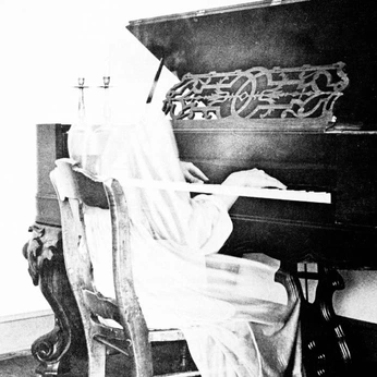 A cover of "Noir Ephemera" cluster. The owner is nousrose. The cluster consists of 1417 elements.