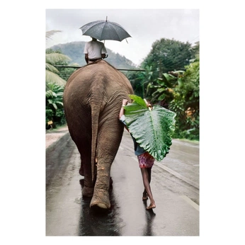 A cover of "Magnum" cluster. The owner is mintme. The cluster consists of 5 elements.