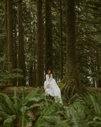 A cover of "Shoot foret" cluster. The owner is emmakslr. The cluster consists of 44 elements.