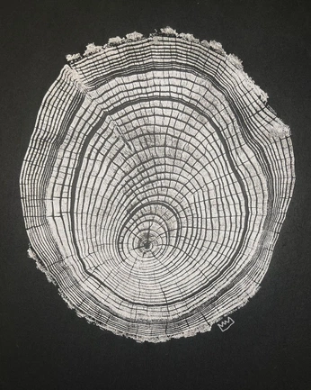 A cover of "tree sice" cluster. The owner is saharbaseri. The cluster consists of 14 elements.