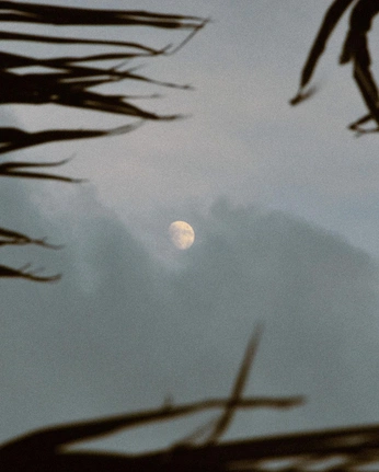 A cover of "Coffee❤️" cluster. The owner is coderbat. The cluster consists of 7 elements.