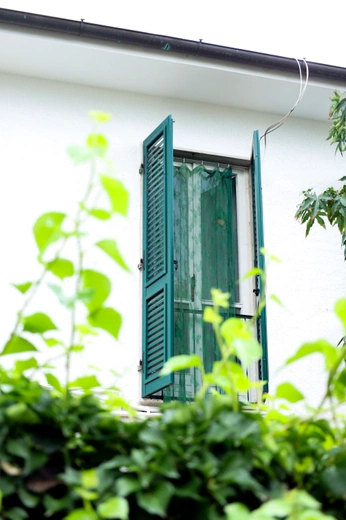 A cover of "visual gallery" cluster. The owner is delphiedesigns. The cluster consists of 115 elements.