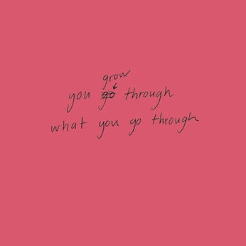 A cover of "🧸" cluster. The owner is lia.moo. The cluster consists of 81 elements.