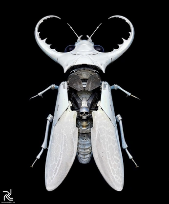 A cover of "Botanical garden" cluster. The owner is ahnkye. The cluster consists of 16 elements.