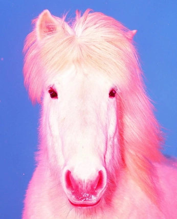 A cover of "pinky" cluster. The owner is zeeeyy. The cluster consists of 20 elements.