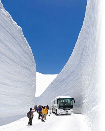 A cover of "collage" cluster. The owner is clairegraveline. The cluster consists of 9 elements.