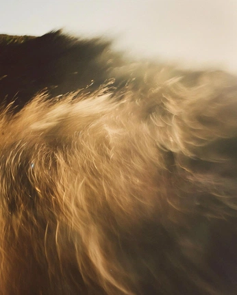 A cover of "Motion" cluster. The owner is kirstydawn. The cluster consists of 8 elements.