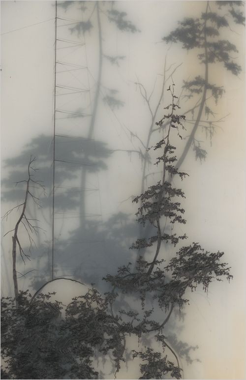 A Pinterest pin added by aralitze on Dec 07, 2023. The author is حسين مفتن. May present: black-and-white, tints and shades, plant, wood, art.