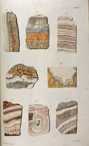 A cover of "Festival Geologia" cluster. The owner is insospeso. The cluster description is "Visual Elements". The cluster consists of 20 elements.