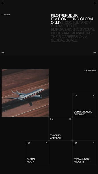 A cover of "plane" cluster. The owner is serhf. The cluster consists of 11 elements.