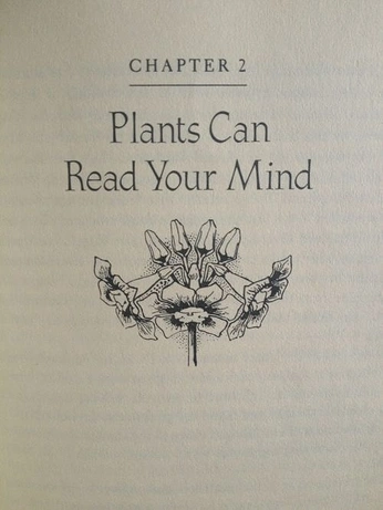 A cover of "flower speak" cluster. The owner is rox. The cluster consists of 2 elements.